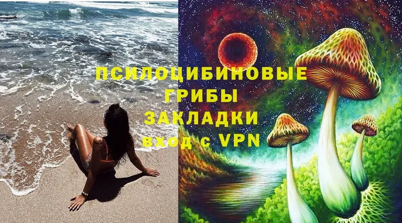 Галлюциногенные грибы Psilocybe  где можно купить   Крым 